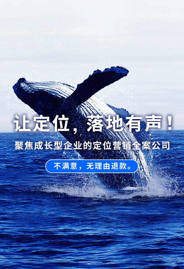 领导者+定位