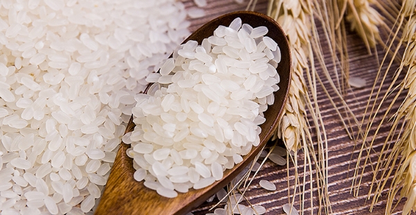 知名农产品品牌策划案例分析