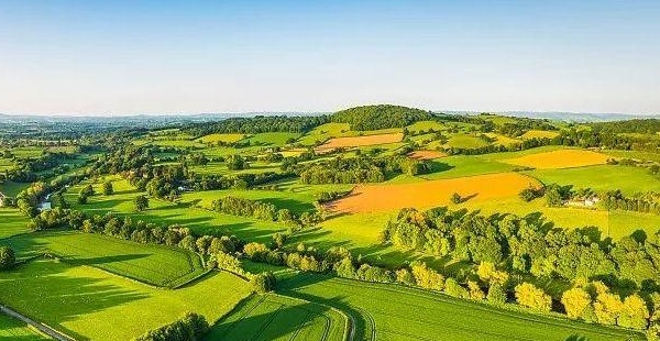 农产品如何做品牌策划？附案例解析