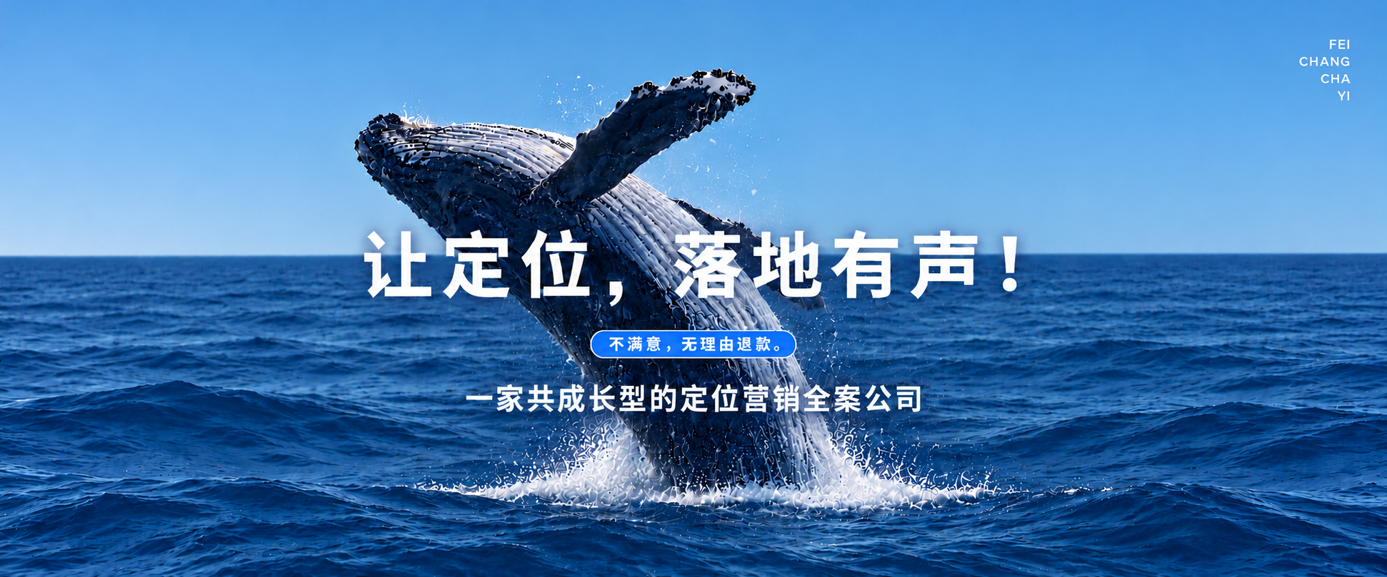 最新鲸鱼