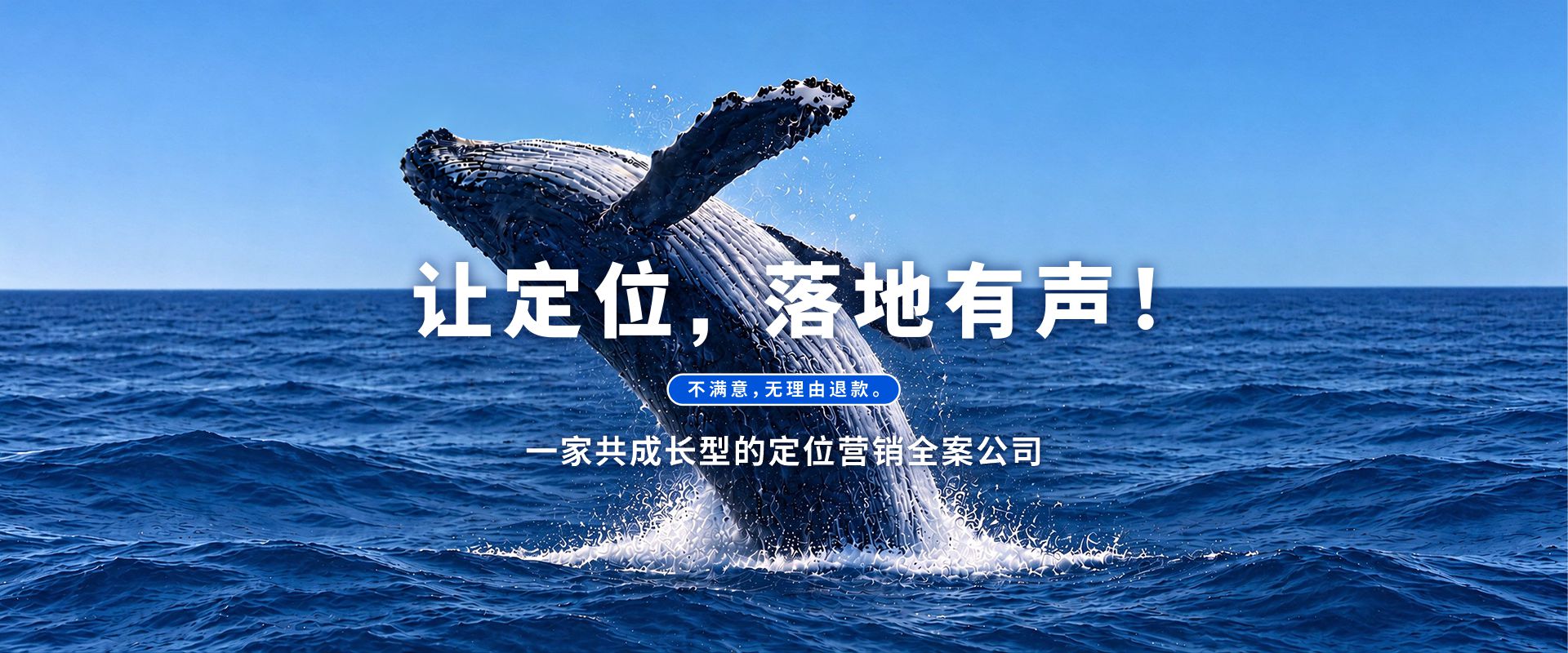 最新鲸鱼