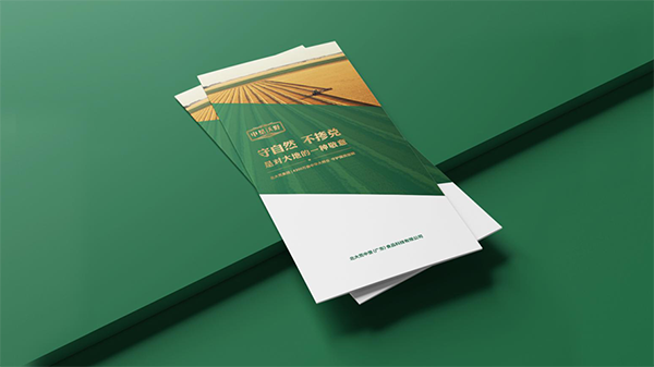 北大荒大米营销策划案例,北大荒营销策划,大米营销策划案例