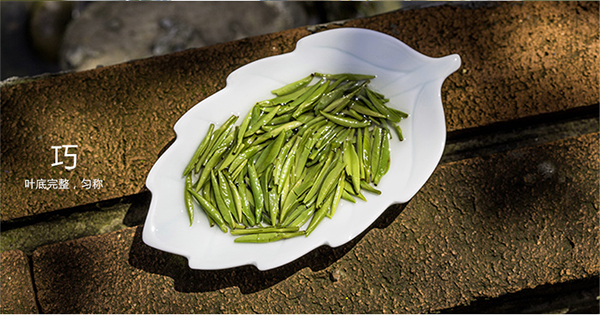 竹叶青茶营销,竹叶青茶,竹叶青