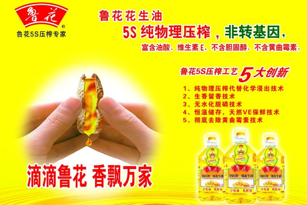 鲁花食用油品牌营销战略