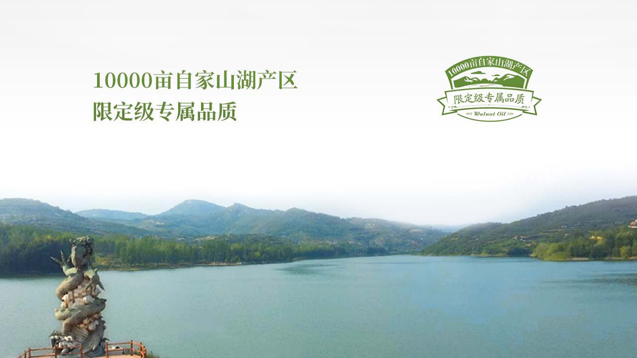 初典核桃油营销策划案例