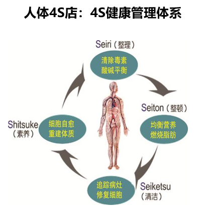 美容品牌策划,美容营销策划,馨园美容连锁品牌策划