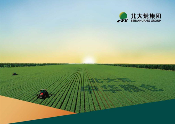 产业城营销策划,北大荒生态产业城营销策划