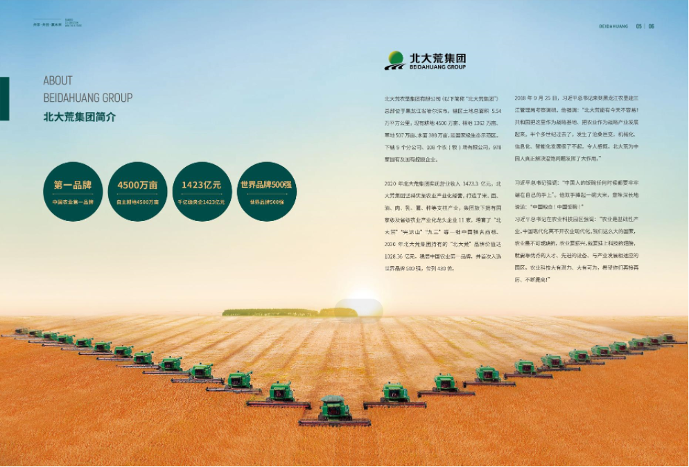 产业城营销策划,北大荒生态产业城营销策划