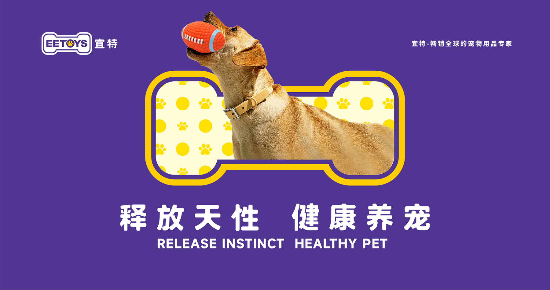 宜特宠物用品品牌营销策划案例