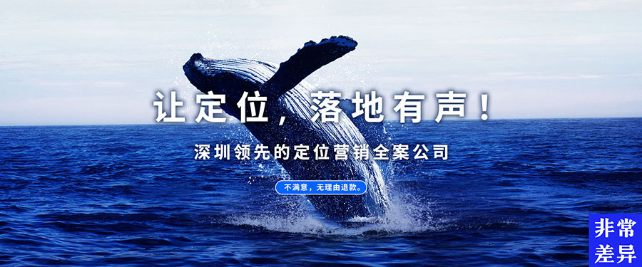 白象食品营销策略