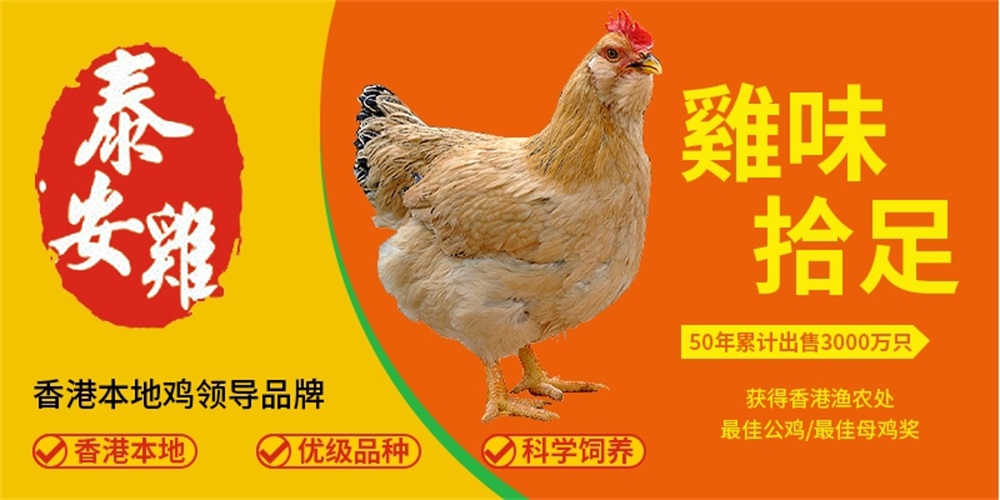 农产品品牌策划成功案例分享
