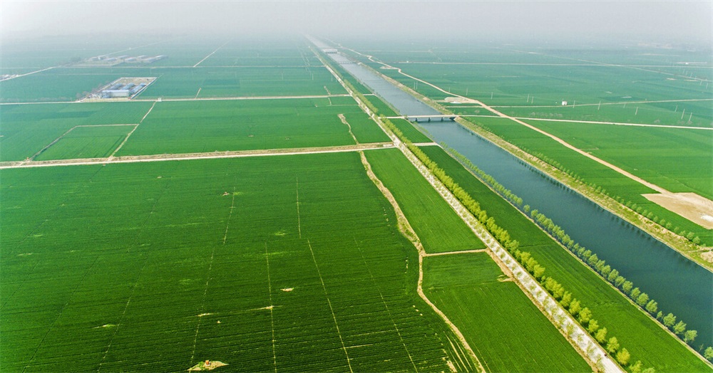 食品品牌策划案例