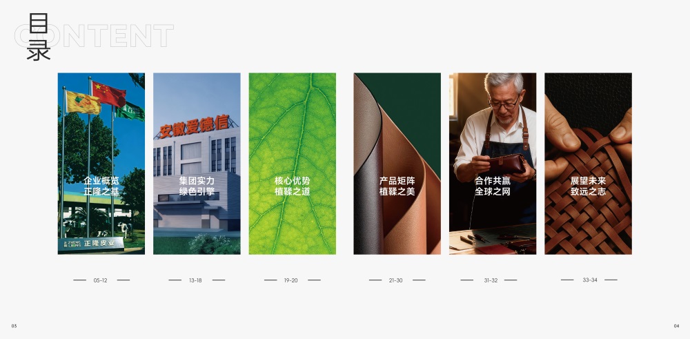 服装辅料品牌策划,皮革品牌策划案例,正隆皮革品牌策划案例
