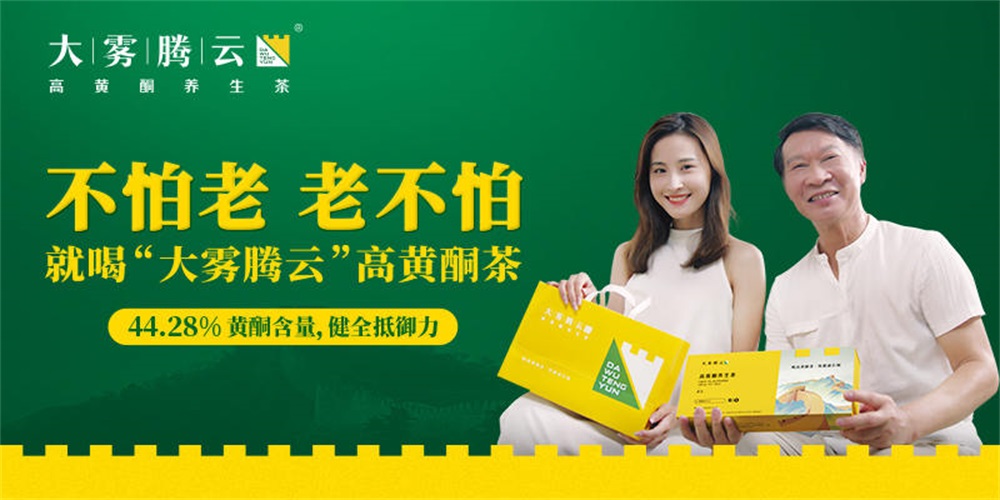 茶叶品牌策划案例,石崖茶品牌策划案例,大雾腾云茶叶品牌策划案例分析