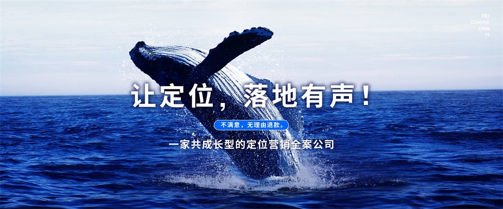 深圳品牌策划公司,深圳品牌策划公司怎么选,定位导向全域营销成为企业的破局路径